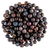 Dried Fruit | Juniper Berries